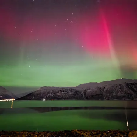 By The Lyngenfjord *