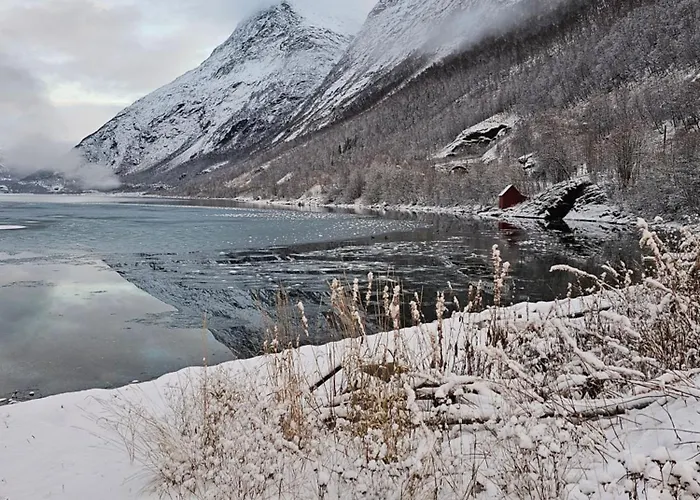 By The Lyngenfjord *