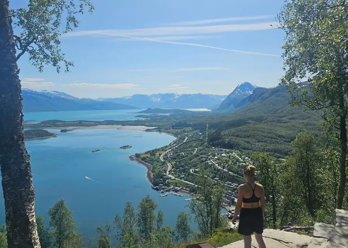 By The Lyngenfjord Olderdalen